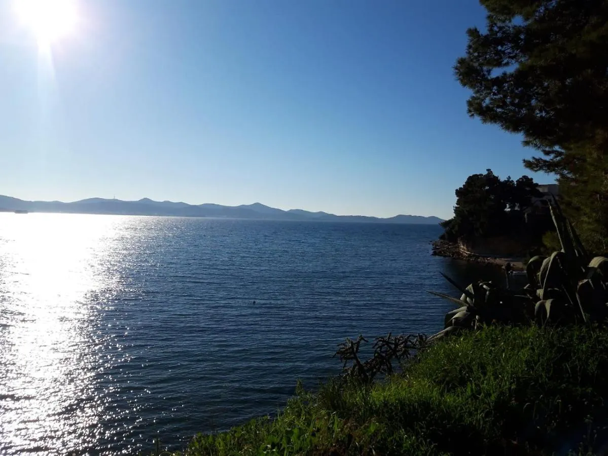 Apartmán Apartman Milo - Zadar