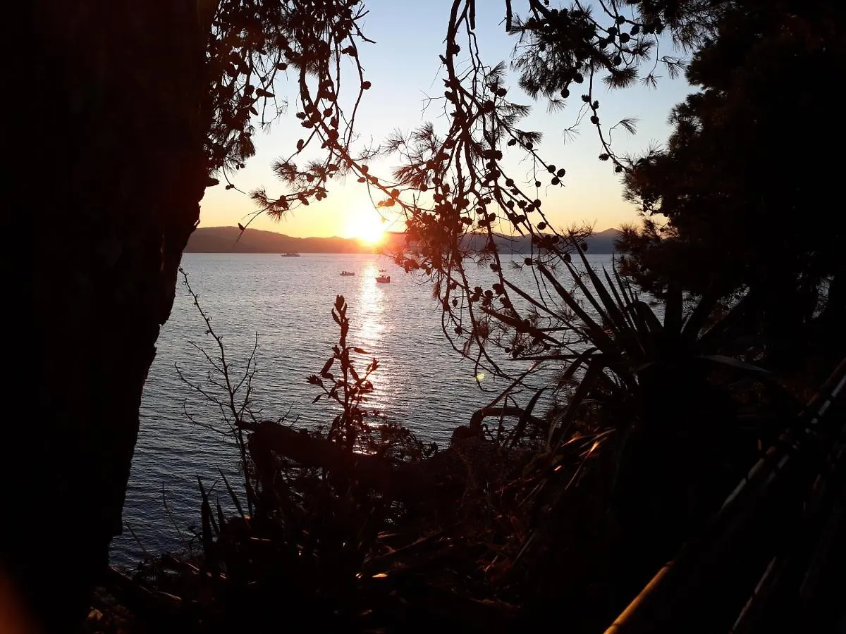 Apartmán Apartman Milo - Zadar Chorvatsko