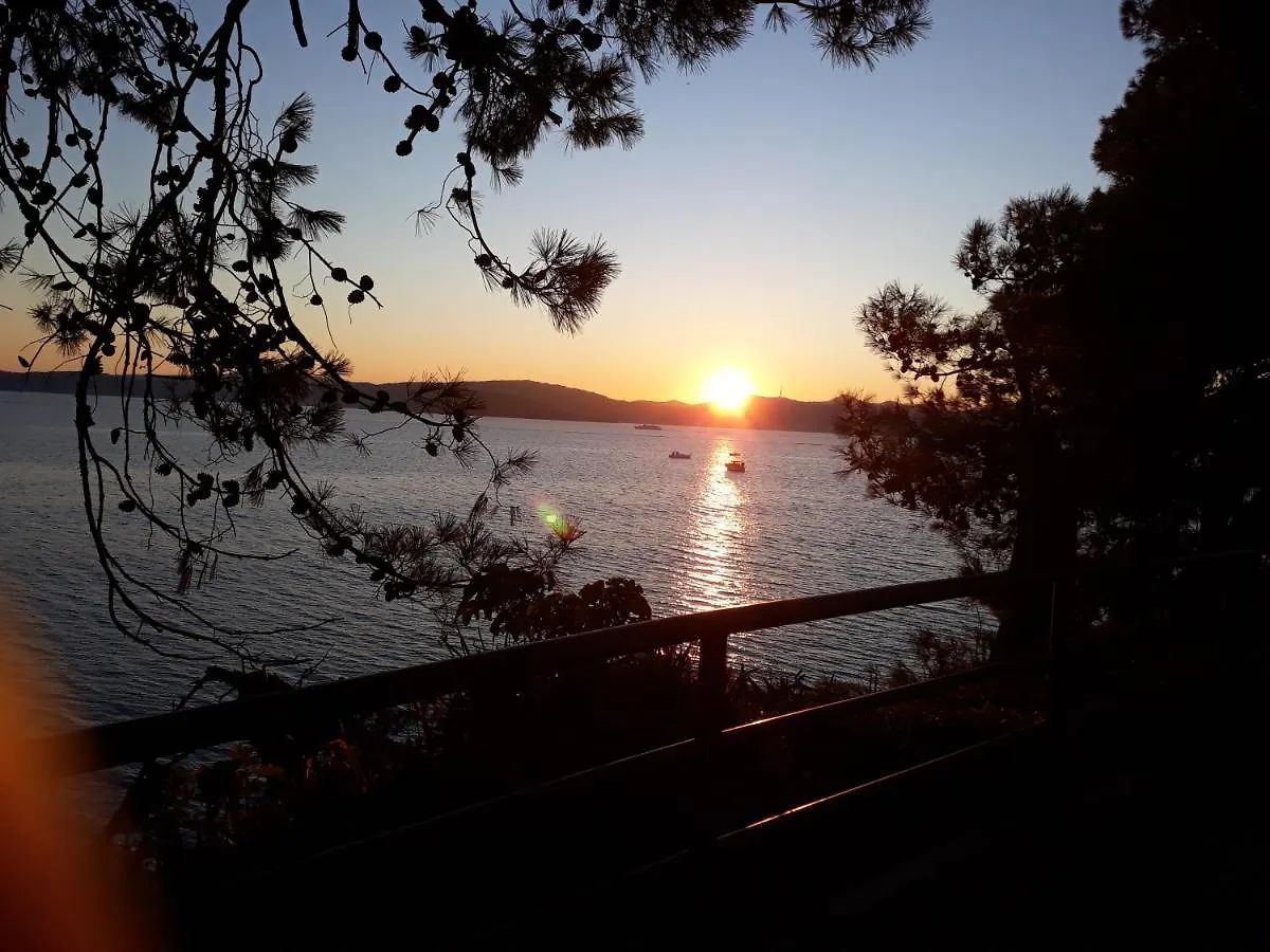 Apartmán Apartman Milo - Zadar
