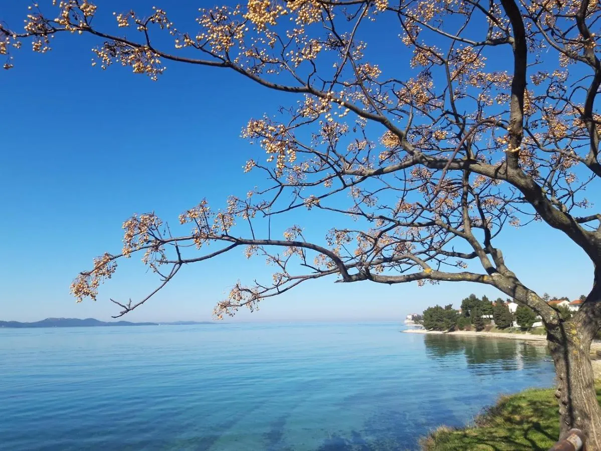 Apartman Milo - Zadar 0*,  Chorwacja
